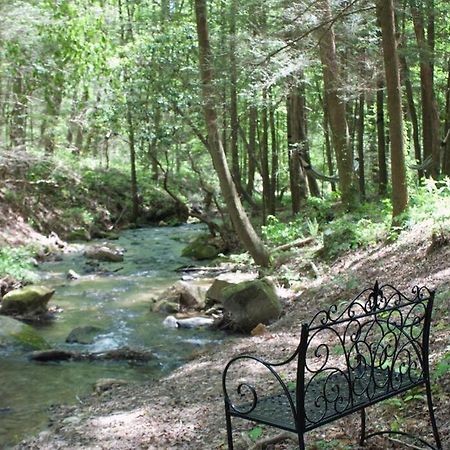 Private Creekside Cabin+Hot Tub,Pool Table, & Pets Ellijay Eksteriør billede