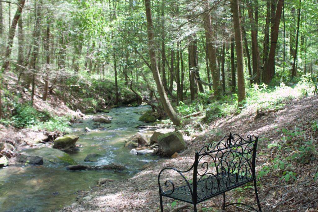 Private Creekside Cabin+Hot Tub,Pool Table, & Pets Ellijay Eksteriør billede