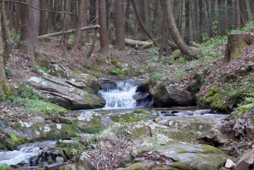 Private Creekside Cabin+Hot Tub,Pool Table, & Pets Ellijay Eksteriør billede